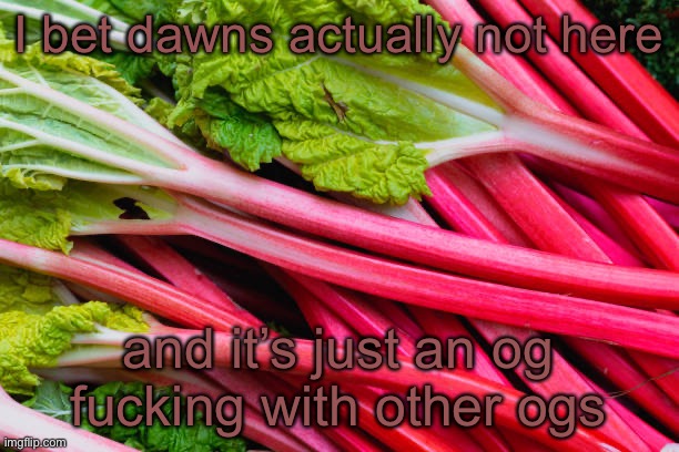 rhubarb | I bet dawns actually not here; and it’s just an og fucking with other ogs | image tagged in rhubarb | made w/ Imgflip meme maker