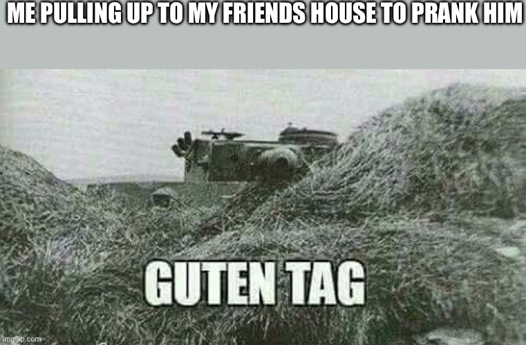 German guten tag tiger | ME PULLING UP TO MY FRIENDS HOUSE TO PRANK HIM | image tagged in german guten tag tiger | made w/ Imgflip meme maker