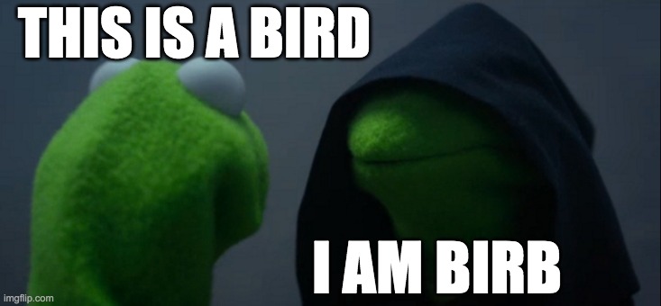 BIRD | THIS IS A BIRD; I AM BIRB | image tagged in memes,evil kermit | made w/ Imgflip meme maker