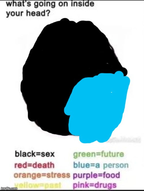 What's going on inside your head? | image tagged in what's going on inside your head | made w/ Imgflip meme maker