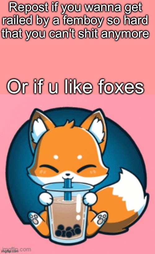 Reposted ? | image tagged in femboy vs fox | made w/ Imgflip meme maker