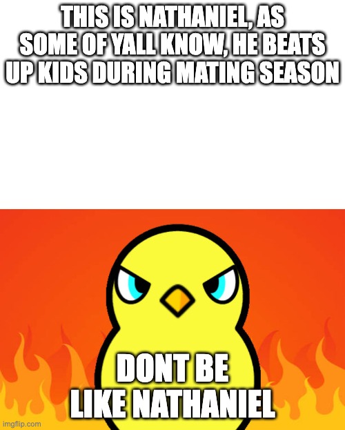 Duck Life Duck Hates | THIS IS NATHANIEL, AS SOME OF YALL KNOW, HE BEATS UP KIDS DURING MATING SEASON; DONT BE LIKE NATHANIEL | image tagged in duck life duck hates | made w/ Imgflip meme maker