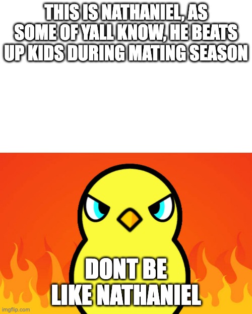 Duck Life Duck Hates | THIS IS NATHANIEL, AS SOME OF YALL KNOW, HE BEATS UP KIDS DURING MATING SEASON; DONT BE LIKE NATHANIEL | image tagged in duck life duck hates | made w/ Imgflip meme maker