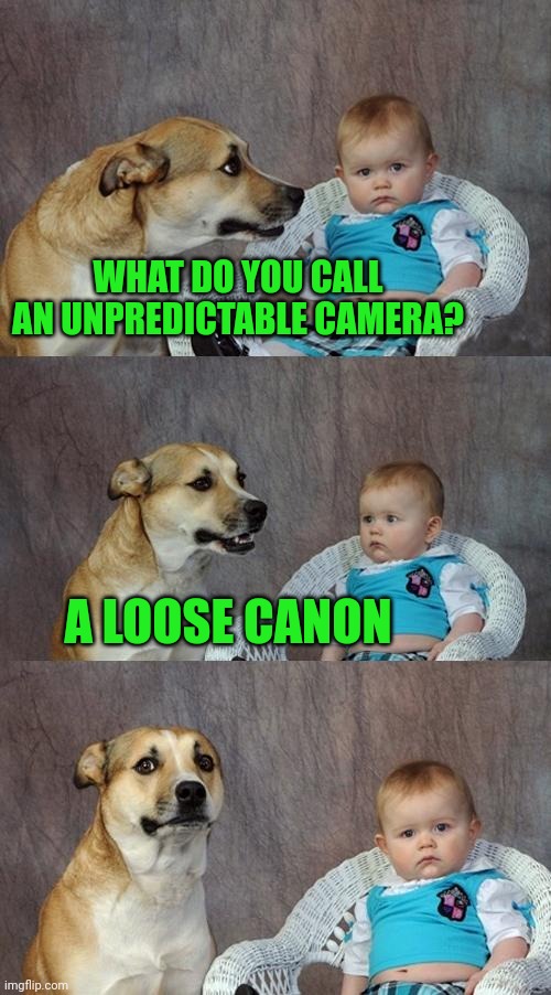Dad Joke Dog | WHAT DO YOU CALL AN UNPREDICTABLE CAMERA? A LOOSE CANON | image tagged in memes,dad joke dog | made w/ Imgflip meme maker
