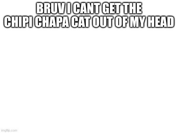 m | BRUV I CANT GET THE CHIPI CHAPA CAT OUT OF MY HEAD | image tagged in chipi,chapa | made w/ Imgflip meme maker