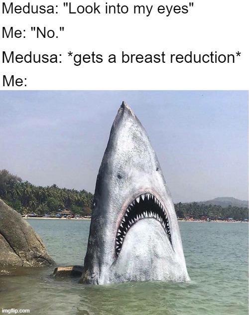 Medusa: "Look into my eyes"; Me: "No."; Medusa: *gets a breast reduction*; Me: | image tagged in funny,funny picture | made w/ Imgflip meme maker