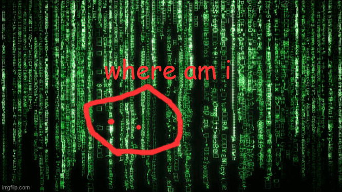 blobie the hacker acidentaly hacks himself into the code | where am i | image tagged in matrix code | made w/ Imgflip meme maker