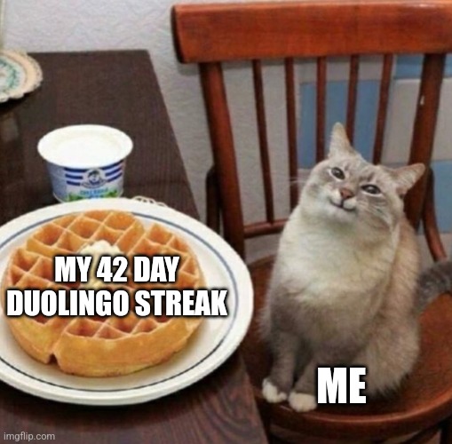 Happ | MY 42 DAY DUOLINGO STREAK; ME | image tagged in cat likes their waffle | made w/ Imgflip meme maker