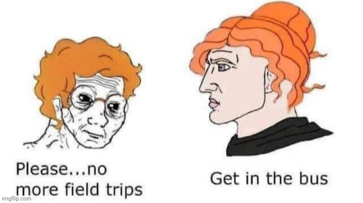 More field trips | image tagged in magic school bus,the magic school bus,reposts,repost,memes,field trips | made w/ Imgflip meme maker