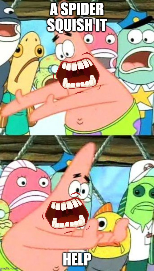 Put It Somewhere Else Patrick Meme | A SPIDER SQUISH IT; HELP | image tagged in memes,put it somewhere else patrick | made w/ Imgflip meme maker