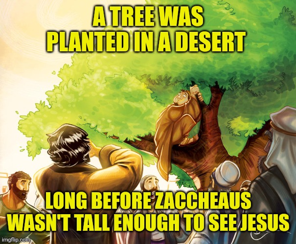 Zacceaus | A TREE WAS PLANTED IN A DESERT; LONG BEFORE ZACCHEAUS WASN'T TALL ENOUGH TO SEE JESUS | image tagged in zacceaus | made w/ Imgflip meme maker