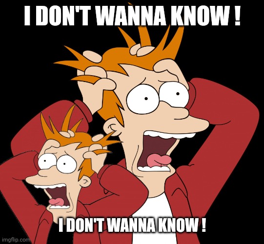 Futurama Fry Screaming | I DON'T WANNA KNOW ! I DON'T WANNA KNOW ! | image tagged in futurama fry screaming | made w/ Imgflip meme maker