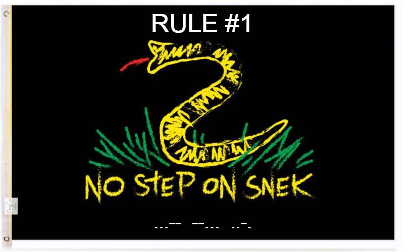 NO STEP ON SNEK | RULE #1; ...--  --...  ..-. | image tagged in dtom,no step on snek | made w/ Imgflip meme maker