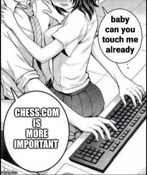 Fr | CHESS.COM IS MORE IMPORTANT | image tagged in babe can you touch me already | made w/ Imgflip meme maker