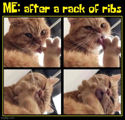 Good to the very last lick | image tagged in vince vance,cats,spare ribs,barbecue,memes,ribs | made w/ Imgflip meme maker