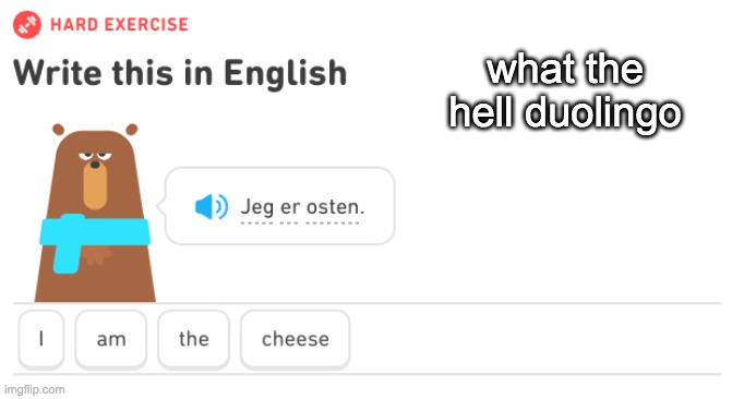 what the hell duolingo | made w/ Imgflip meme maker