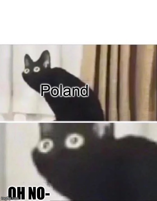 Oh No Black Cat | Poland OH NO- | image tagged in oh no black cat | made w/ Imgflip meme maker