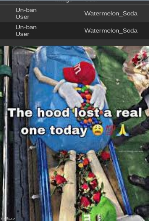 The hood lost a real one today | image tagged in the hood lost a real one today | made w/ Imgflip meme maker