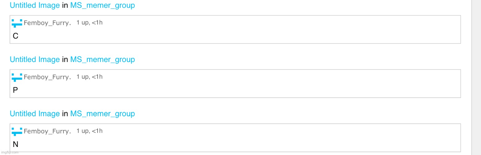 N P C | made w/ Imgflip meme maker