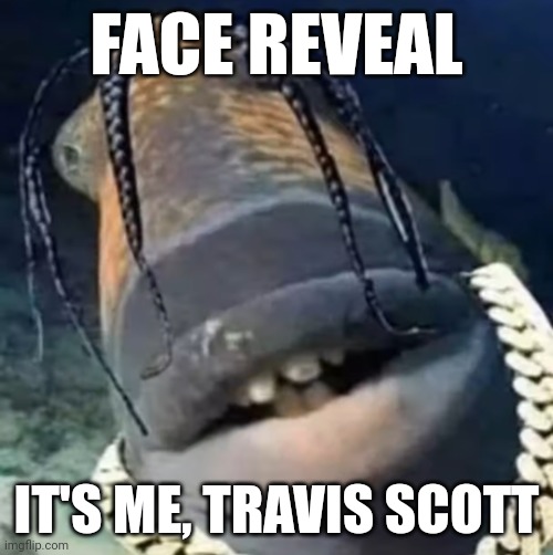 Trafish Scott | FACE REVEAL; IT'S ME, TRAVIS SCOTT | image tagged in trafish scott | made w/ Imgflip meme maker