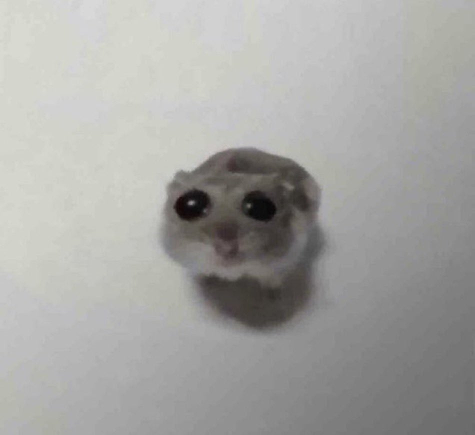 Hamstu Blank Meme Template