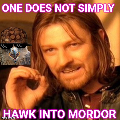 One Does Not Simply Hawk Into Mordor | ONE DOES NOT SIMPLY; HAWK INTO MORDOR | image tagged in lotr square base | made w/ Imgflip meme maker
