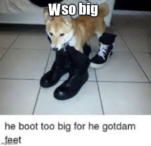 L so big boot too big | W | image tagged in l so big boot too big | made w/ Imgflip meme maker