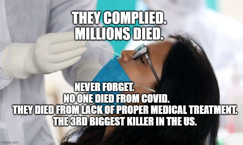 Covid test | THEY COMPLIED. MILLIONS DIED. NEVER FORGET.                  NO ONE DIED FROM COVID.    
      THEY DIED FROM LACK OF PROPER MEDICAL TREATMENT. 
      THE 3RD BIGGEST KILLER IN THE US. | image tagged in covid test | made w/ Imgflip meme maker