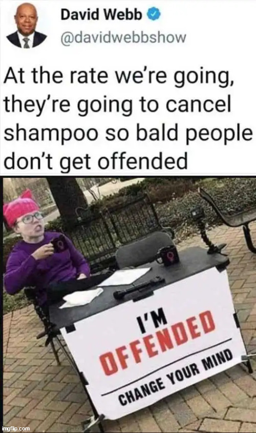 Feelings matter... Everything offends them... | image tagged in so easily triggered,please grow a thicker skin | made w/ Imgflip meme maker