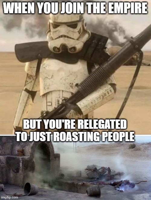 Sad Trooper | WHEN YOU JOIN THE EMPIRE; BUT YOU'RE RELEGATED TO JUST ROASTING PEOPLE | image tagged in sick burn uncle owen | made w/ Imgflip meme maker