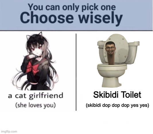 Tough choice huh? | Skibidi Toilet; (skibidi dop dop dop yes yes) | image tagged in choose wisely,memes,funny memes,funny,fun,skibidi toilet | made w/ Imgflip meme maker