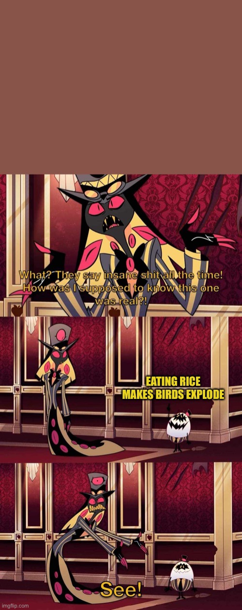This fact is not true btw, google it | EATING RICE MAKES BIRDS EXPLODE | image tagged in say insane shit,hazbin hotel | made w/ Imgflip meme maker
