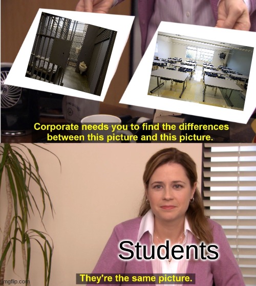 They're The Same Picture Meme | Students | image tagged in memes,they're the same picture | made w/ Imgflip meme maker