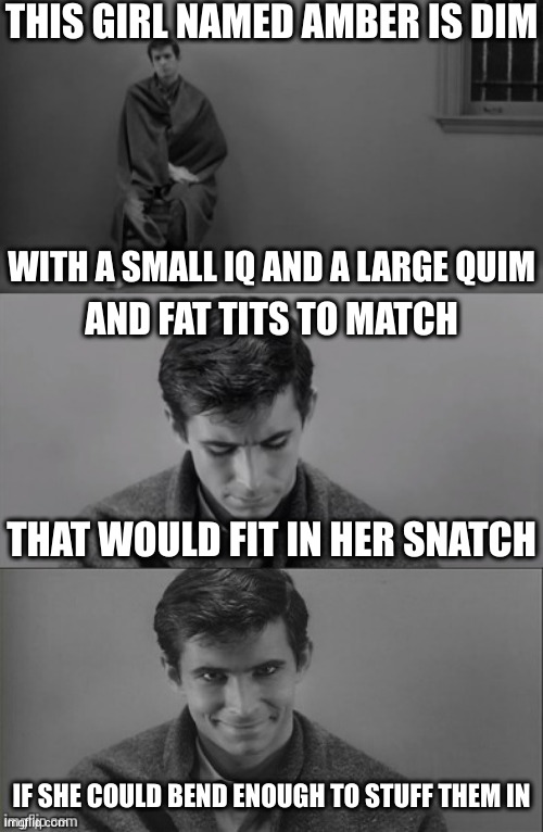 memories | THIS GIRL NAMED AMBER IS DIM; WITH A SMALL IQ AND A LARGE QUIM; AND FAT TITS TO MATCH; THAT WOULD FIT IN HER SNATCH; IF SHE COULD BEND ENOUGH TO STUFF THEM IN | image tagged in bad limerick norman bates | made w/ Imgflip meme maker
