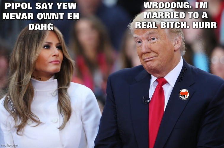 image tagged in florida,maga morons,dogs,melania,bitch,clown car republicans | made w/ Imgflip meme maker
