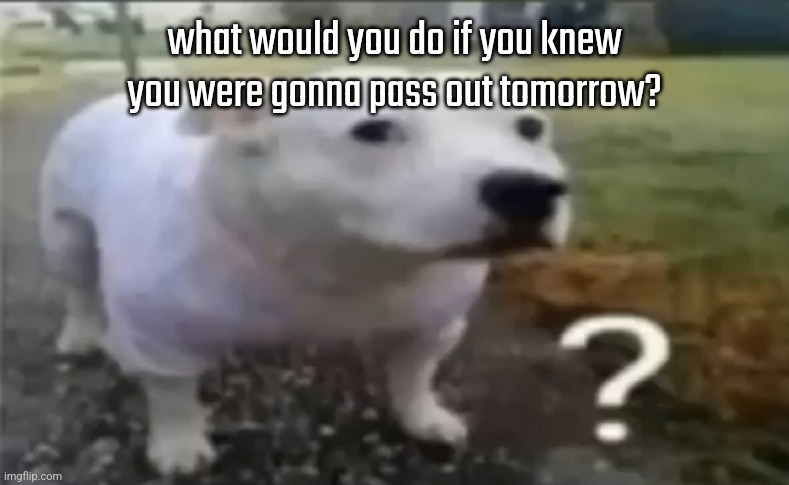 ? | what would you do if you knew you were gonna pass out tomorrow? | image tagged in dont read the tags,a-z | made w/ Imgflip meme maker