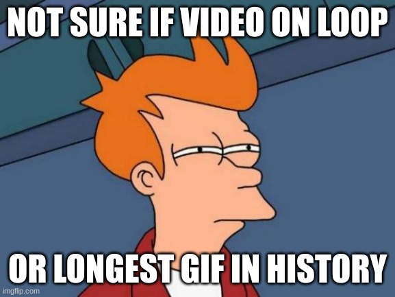 guys is my fresh new meme tuff asl | NOT SURE IF VIDEO ON LOOP; OR LONGEST GIF IN HISTORY | image tagged in memes,futurama fry | made w/ Imgflip meme maker
