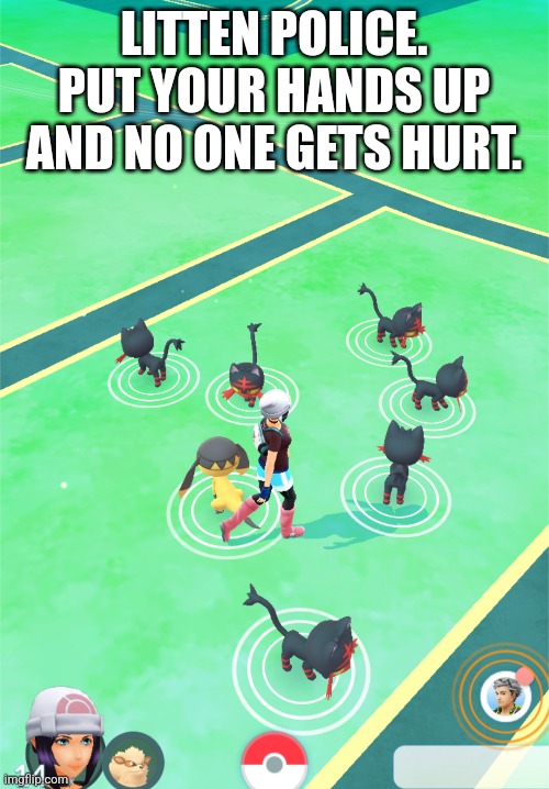 Litten police | LITTEN POLICE. PUT YOUR HANDS UP AND NO ONE GETS HURT. | image tagged in pokemon,pokemon go,cat | made w/ Imgflip meme maker
