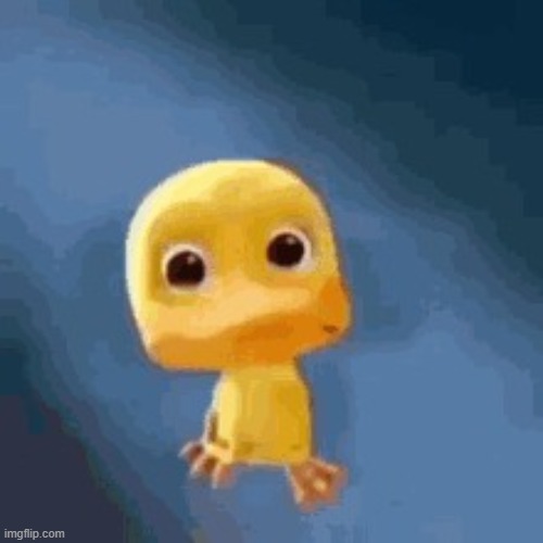 Crying duck | image tagged in crying duck | made w/ Imgflip meme maker