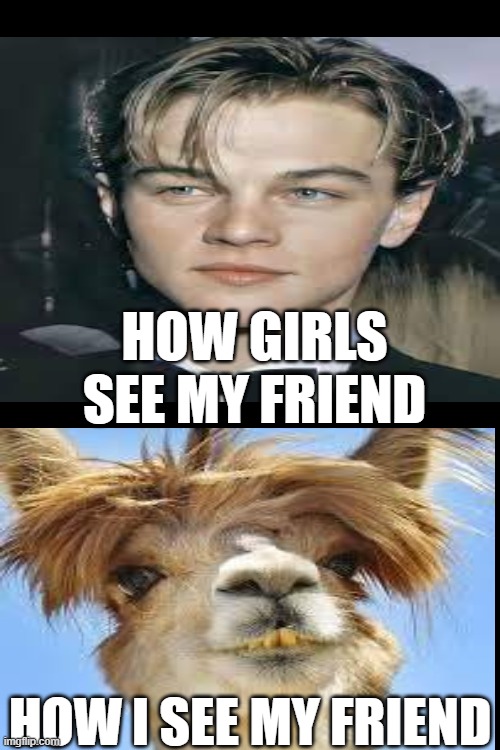if this is how you see ur friend he is ur true best friend | HOW GIRLS SEE MY FRIEND; HOW I SEE MY FRIEND | image tagged in best friends | made w/ Imgflip meme maker