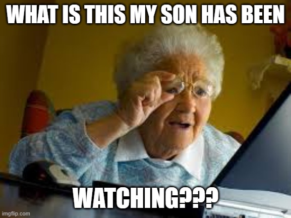 old woman | WHAT IS THIS MY SON HAS BEEN WATCHING??? | image tagged in old woman | made w/ Imgflip meme maker