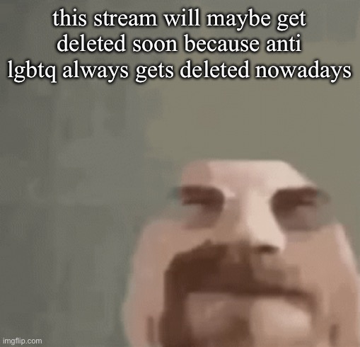 heisenburger | this stream will maybe get deleted soon because anti lgbtq always gets deleted nowadays | image tagged in heisenburger | made w/ Imgflip meme maker