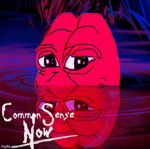 A Common Sense Now | image tagged in common sense,oops,pepe the frog,pepe | made w/ Imgflip meme maker