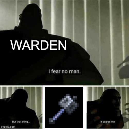that thing.... | WARDEN | image tagged in i fear no man,minecraft,tf2 | made w/ Imgflip meme maker