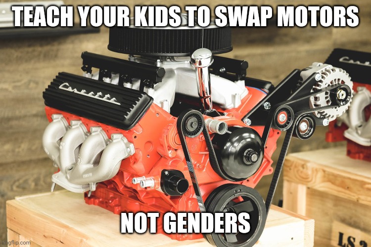 Motor swap | TEACH YOUR KIDS TO SWAP MOTORS; NOT GENDERS | image tagged in engine | made w/ Imgflip meme maker