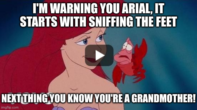 Arial | I'M WARNING YOU ARIAL, IT STARTS WITH SNIFFING THE FEET; NEXT THING YOU KNOW YOU'RE A GRANDMOTHER! | image tagged in arial | made w/ Imgflip meme maker