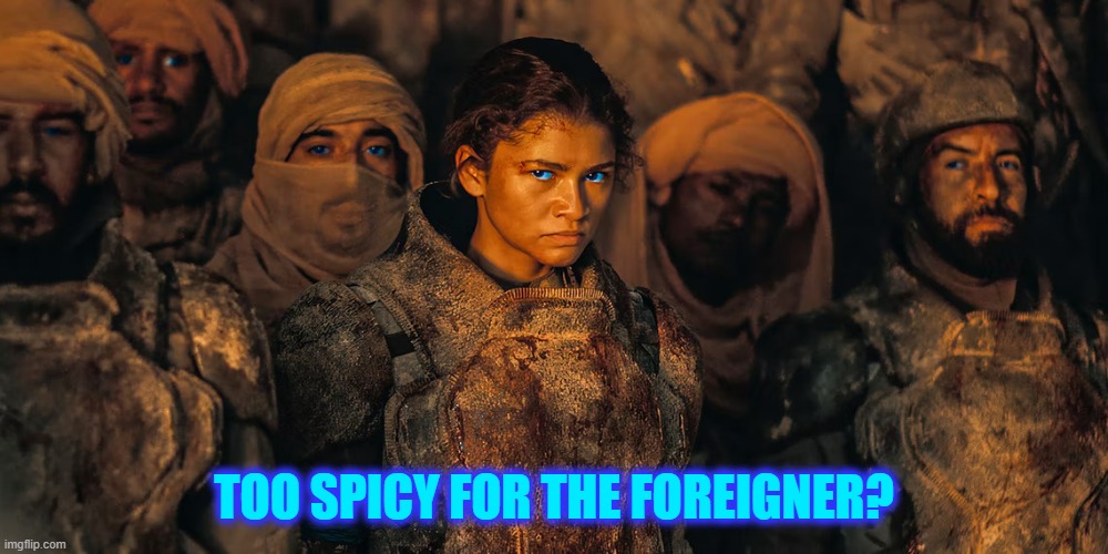 Too spicy for the foreigner? | TOO SPICY FOR THE FOREIGNER? | image tagged in fremen,too spicy for the foreigner,spicy,spice melange,dune part 2 fremen,spice | made w/ Imgflip meme maker