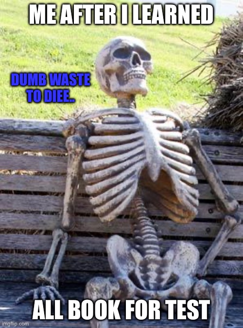 Waiting Skeleton Meme | ME AFTER I LEARNED; DUMB WASTE TO DIEE.. ALL BOOK FOR TEST | image tagged in memes,waiting skeleton | made w/ Imgflip meme maker