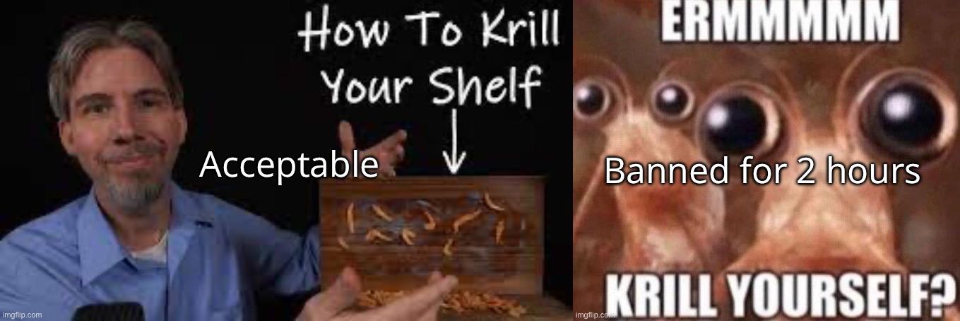 They say the same fucking thing | Banned for 2 hours; Acceptable | image tagged in how to krill your shelf,krill yourself | made w/ Imgflip meme maker