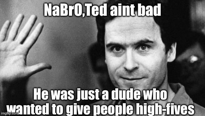 I made a chemistry reference at the same time lol | NaBrO,Ted aint bad; He was just a dude who wanted to give people high-fives | image tagged in ted bundy greeting | made w/ Imgflip meme maker